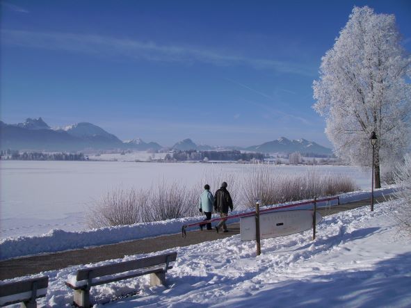 Hopfensee Winter Panorama